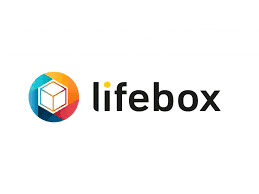 Lifebox 12M 500GB