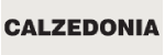 Calzedonia (IT)